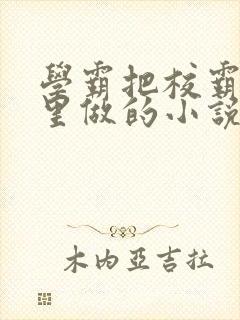 学霸把校霸往死里做的小说