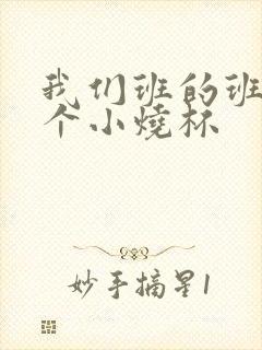 我们班的班花是个小烧杯