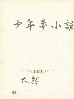 少年梦小说