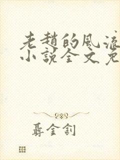 老赵的风流人生小说全文免费阅读