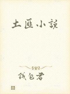 土匪小说