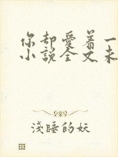 你却爱着一个他小说全文未删减免费