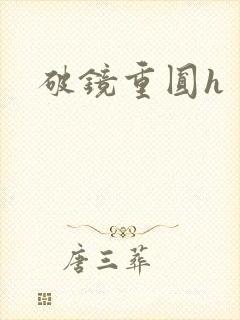 破镜重圆h