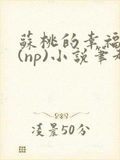 苏桃的幸福生活(np)小说笔趣阁沐沐