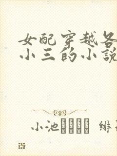 女配穿越各个做小三的小说