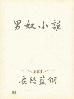 男奴小说
