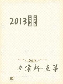 2013С˵