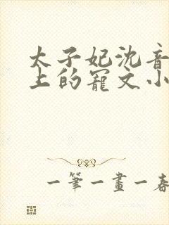 太子妃沈音和皇上的宠文小说