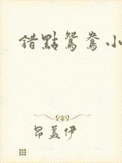 错点鸳鸯小说