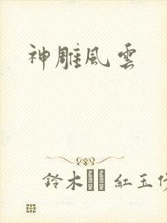 神雕风云