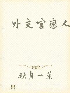 外交官恋人小说