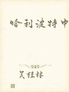 哈利波特中文版