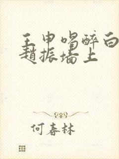 王申喝醉白洁被赵振墙上