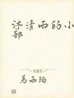 沐清雨的小说全部