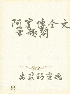 阿宾传全文阅读 笔趣阁