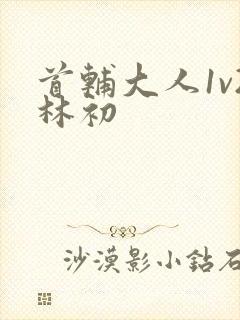 首辅大人1v2林初