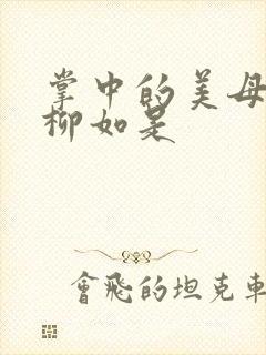 掌中的美母版主柳如是