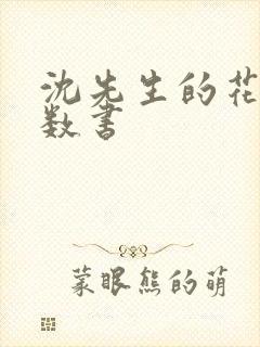 沈先生的花式调数书