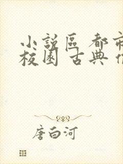 小说区 都市 校园 古典 偷拍