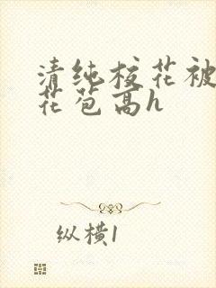 清纯校花被迫开花苞高h