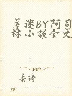 着迷BY阿司匹林小说全文免费阅读