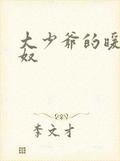 大少爷的暖床小奴