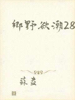 乡野欲潮28章
