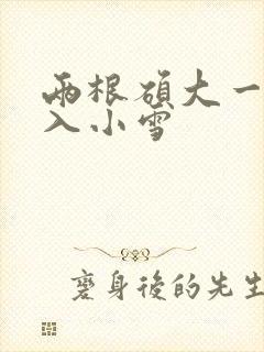 两根硕大一起挤入小雪