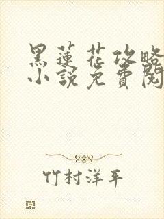 黑莲花攻略手册小说免费阅读全文