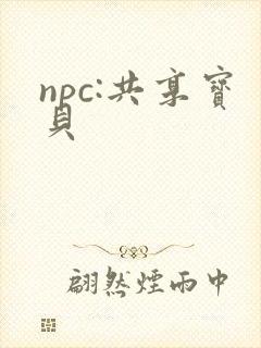 npc:共享宝贝