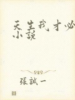 天生我才必有用小说