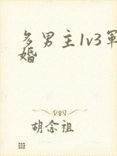 多男主1v3军婚