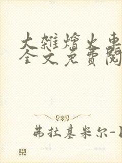 大杂烩火车小说全文免费阅读