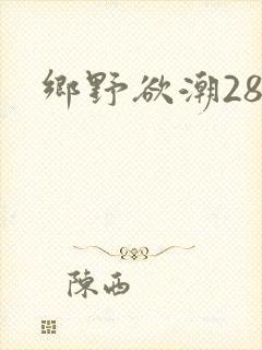 乡野欲潮28章