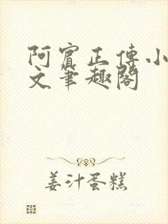 阿宾正传小说全文笔趣阁