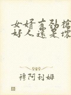 女婿有劲枪枪是好人还是坏人