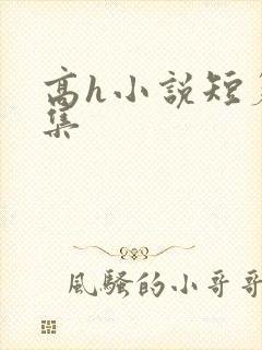 高h小说短篇合集