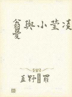 翁与小莹凌晨欢爱