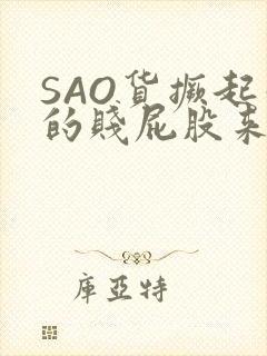 SAO货撅起你的贱屁股来