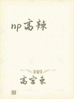 np高辣