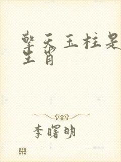 擎天玉柱是什么生肖