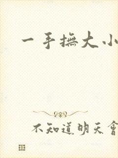 一手抚大小说