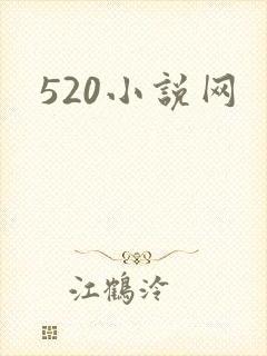 520小说网