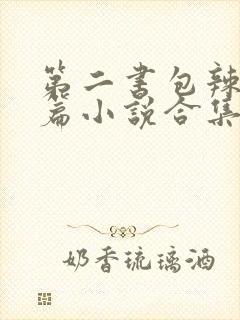 第二书包辣网短篇小说合集