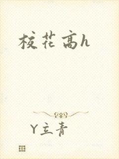 校花高h
