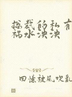 总裁的私有宝贝祸水泱泱