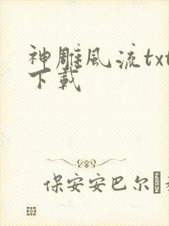 神雕风流txt下载