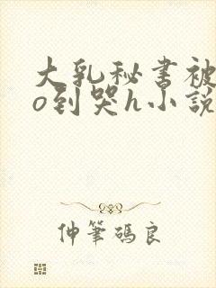 大乳秘书被cao到哭h小说