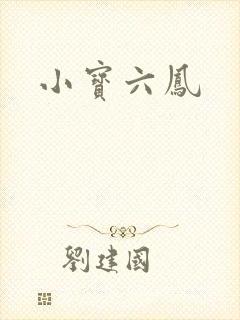 小宝六凤