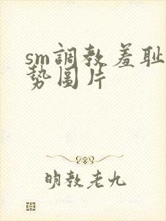 sm调教羞耻姿势图片